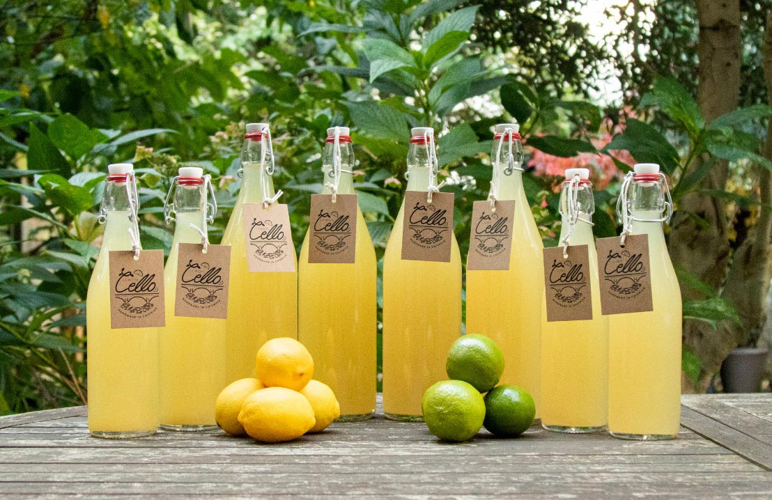 Cello Brand creation and website design